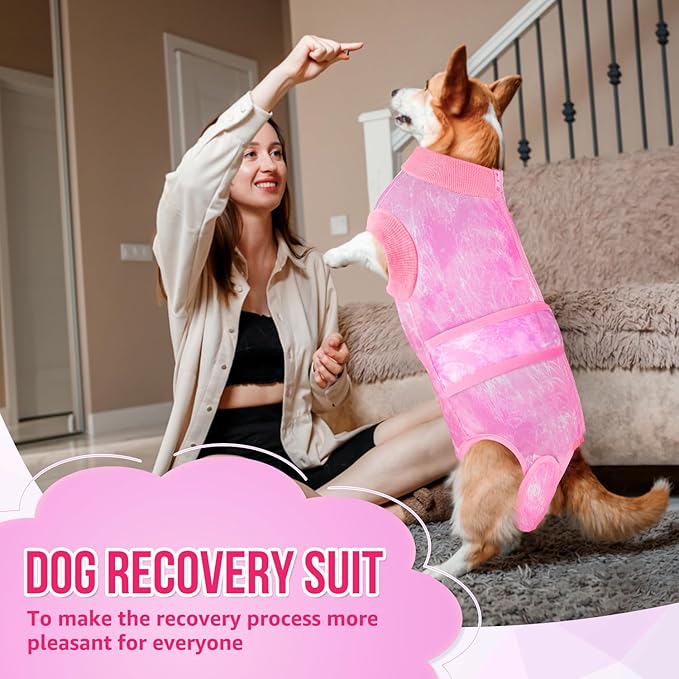 Lukovee Recovery Suit for Dogs, Zipper On Recovery Suit for Female Male Dog, Onesie Abdominal Wounds Cone E-Collar Alternative Prevent Licking Spay Recovery Suit (2TPI,M)