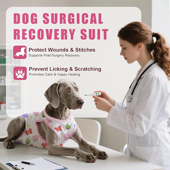 Recovery Suit for Dogs After Surgery, Professional Dog Surgical Suit for Female Spay, Male Neuter, E-Collar & Cone Alternative Dog Onesie for Abdominal Wounds Skin Disease, Jellyfish, M