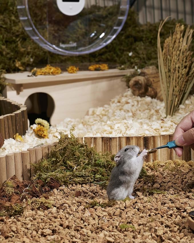 Niteangel Small Animal Snack & Treats - Small Critter Natural Treat for Dwarf Syrian Hamsters Gerbils Mice Sugar Glider Hedgehogs Chickens Birds (Freeze-Dried Grasshopper)