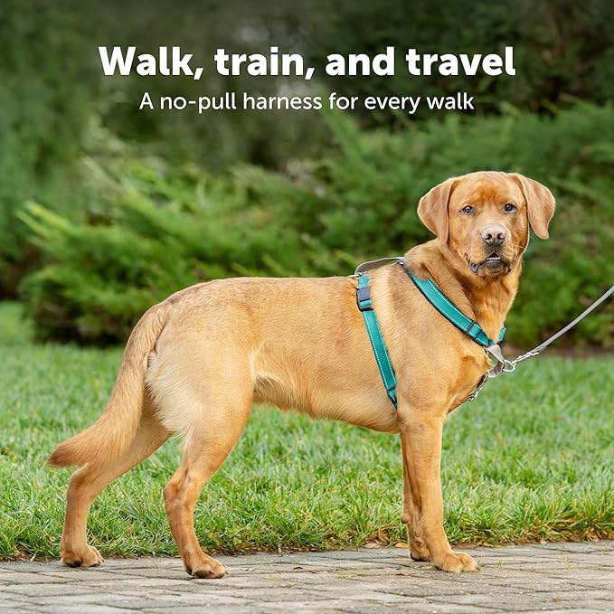 PetSafe 3 in 1 Dog Harness - No Pull Solution for Dogs - Reflective Dog Harness - Front D-Ring Clip Helps Stop Pulling - Comfortable Padded Straps - Top Handle Enhances Control - Black - Medium