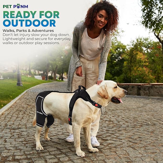 Petpanm- Adjustable Dog Knee Brace- Right Hind Leg with Integreted Harness- Premium Support for Torn ACL, Sprains & Strains Recovery, Enhances Mobility, Comfortable Neoprene - (XLarge).