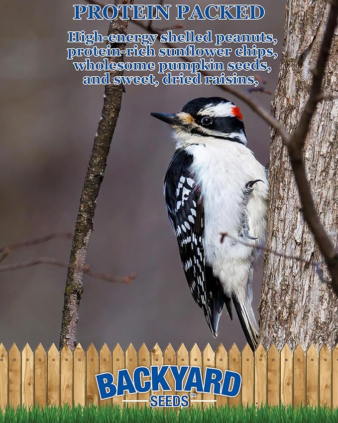 CountryMax Backyard Seeds Woodpecker No Waste Bird Seed Mix – 5 lb Bag | Shelled Peanuts, Sunflower Chips, Tree Nuts | Attracts Woodpeckers, Nuthatches, Jays