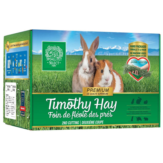 How to Choose the Right Timothy Hay for Small Pets: Practical Feeding Tips, Better Storage Habits, and Why 1st Cut Hay Can Be a Smart Option