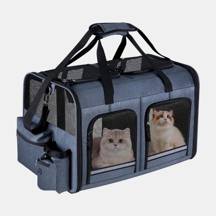 Carriers & Travel Products