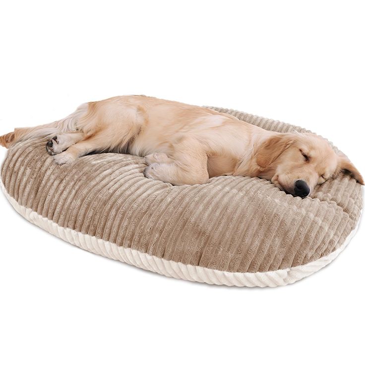 Dog Beds & Blankets