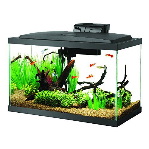 Aquarium Accessories