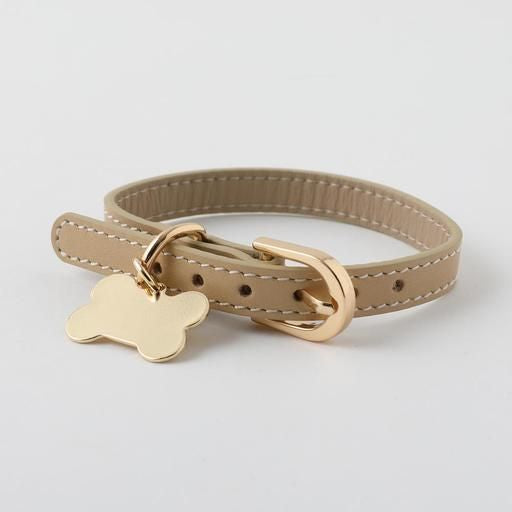 Cat Collars