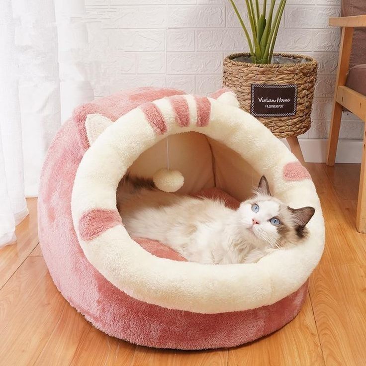 Cat Beds