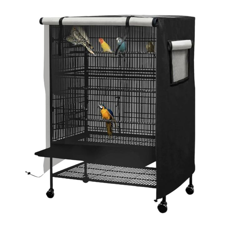 Birdcages