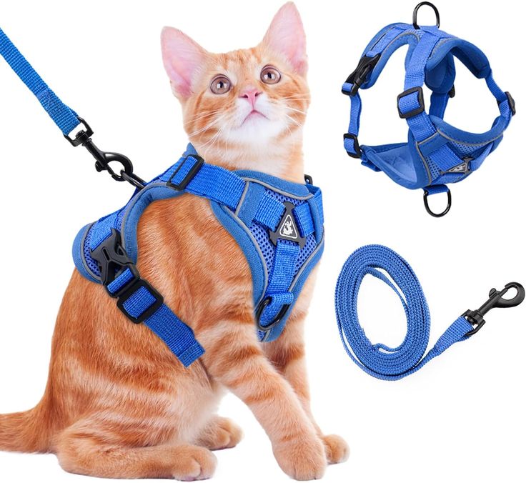 Cat Harnesses