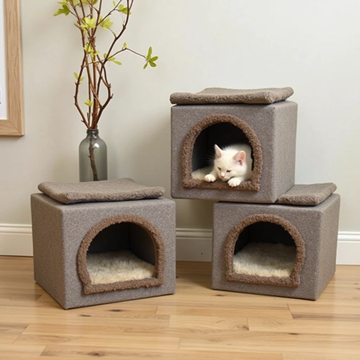 Cat Houses & Condos