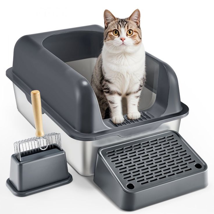 Cat Litter & Litter Boxes