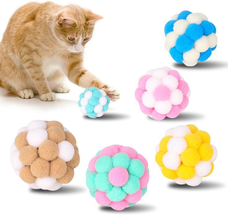Cat Toys for Indoor & Outdoor Play