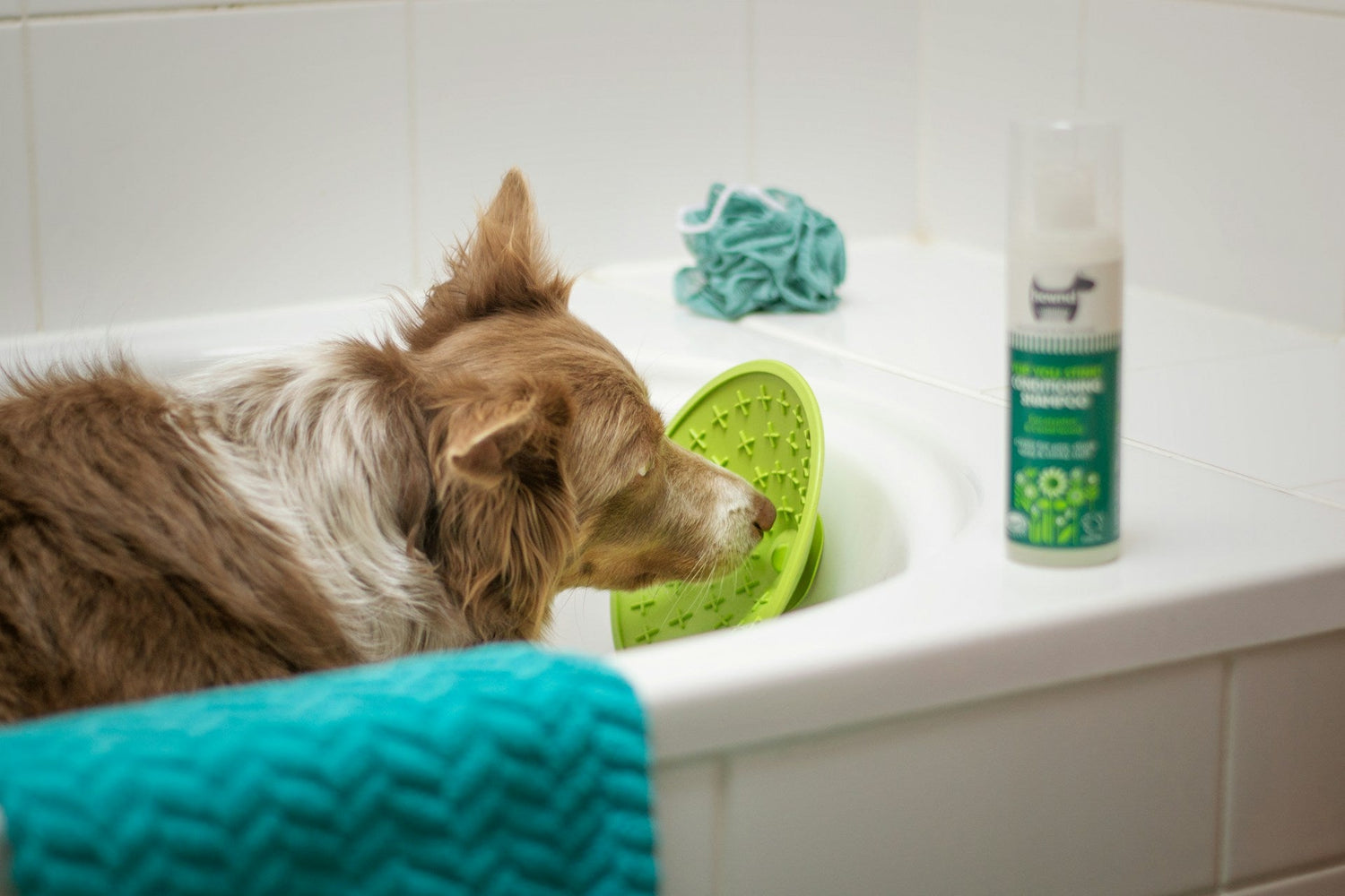 Pet Shampoos