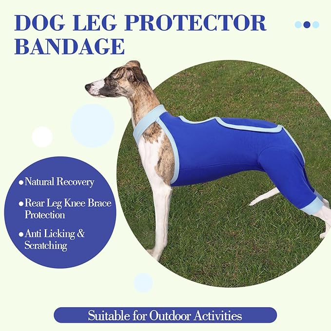ROZKITCH Dog Surgery Leg Sleeve Rear Legs, Male Female Pet Prevent Licking Wound Elbow Knee Protector, Dog Recovery Suit Cone Collar Alternative Pants Shirt for Wound Heal Wrap Blue S