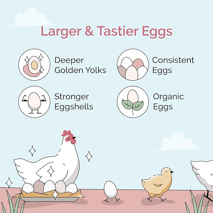 Organic Chicken Feed – Layer Mash, Non-GMO, USA Grown, 16% Protein, Corn-Free, Soy-Free, Non-Medicated Feed for Chickens, 2 lbs Sample