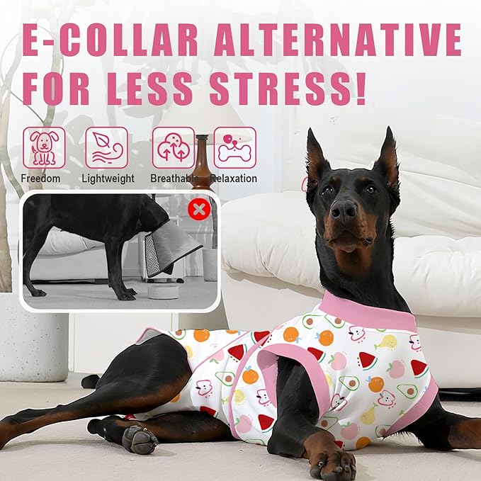 Recovery Suit for Dogs After Surgery, Professional Dog Surgical Suit for Female Spay, Male Neuter, E-Collar & Cone Alternative Dog Onesie for Abdominal Wounds Skin Disease, Fruit, XS