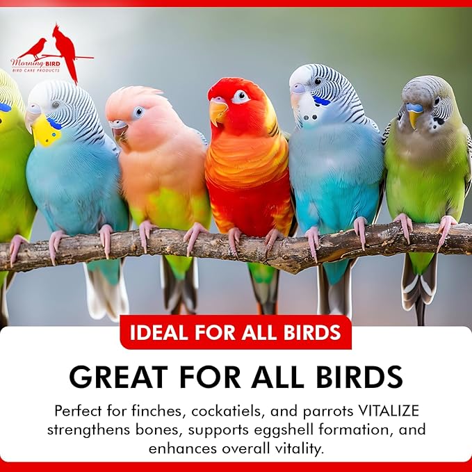 Morning Bird Vitalize, Supplement for Sick, Injured, or Stressed Caged Birds; Dehydration and Exhaustion Treatment for Parakeets, Cockatiels, Budgies, Finches, Canaries, and Parrots, 16 oz