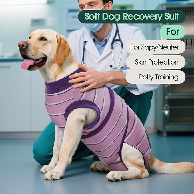 Kuoser Dog Surgery Recovery Suit for Female Male Dogs, Stripes Spay Neuter Anti-Licking Dog Onesie, Abdominal Wounds Surgical Suit Snugly Pet Collar Alternative Post Surgery Vest Bodysuit, Purple 2XL