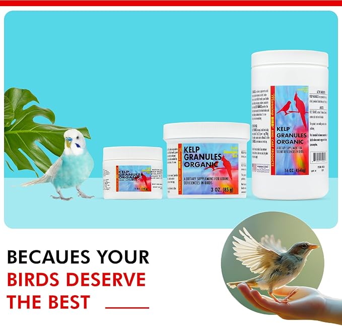 Morning Bird Kelp Granules 16 Oz – Iodine Supplement for Birds – Supports Feather Growth, Molting & Metabolism – Rich in Amino Acids, Trace Minerals & Natural Vitamins – Clean Nutrition for All Birds