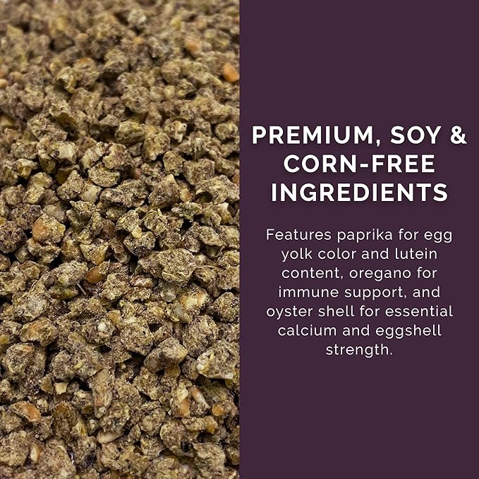 Layer Crumb Feed, 25lbs - Non-GMO, High-Protein Poultry Feed for Healthy Hens & Nutritious Eggs, 17.5% Protein - USDA Certified Organic Blend, Soy & Corn-Free